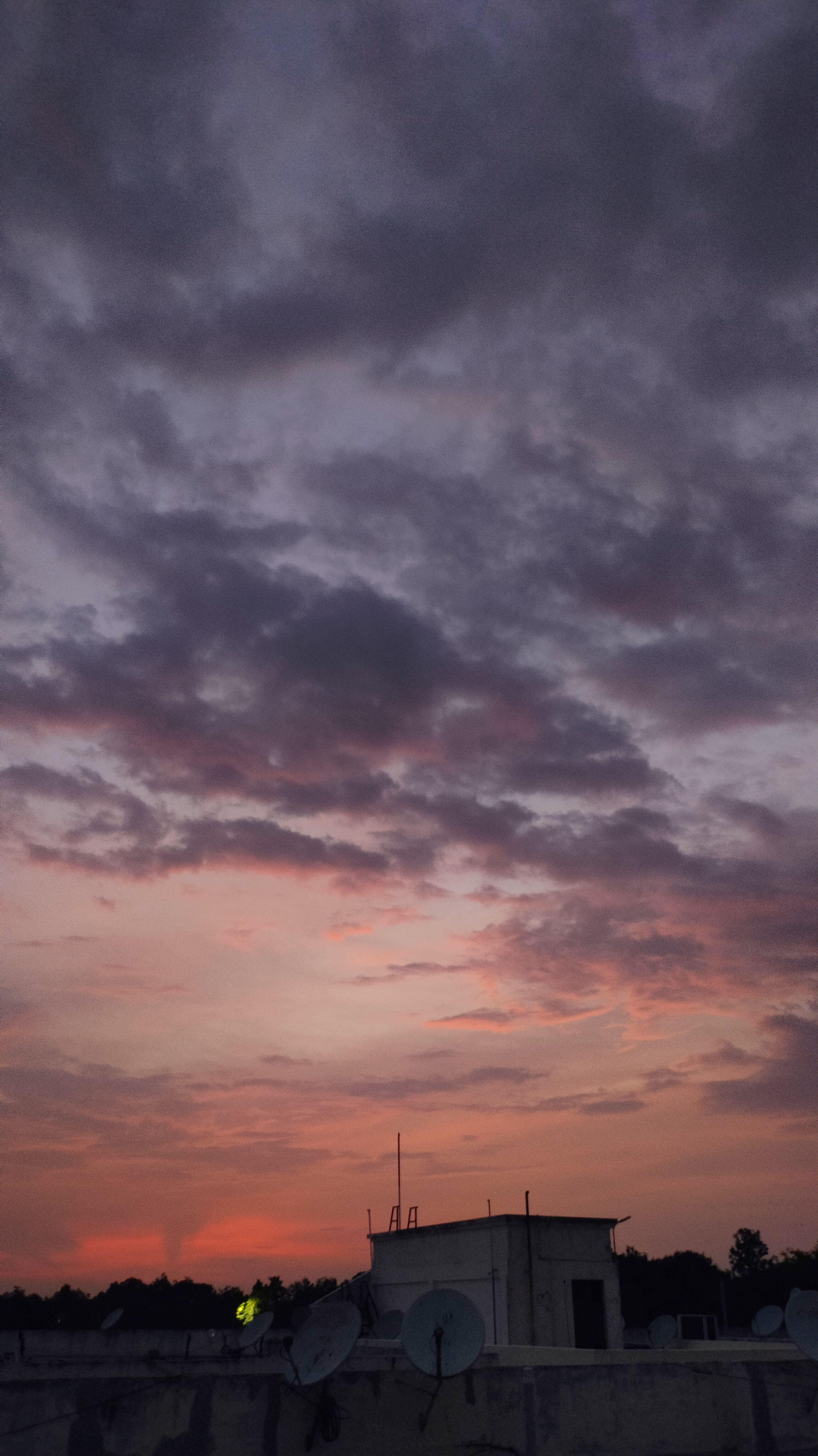 Rooftop, August