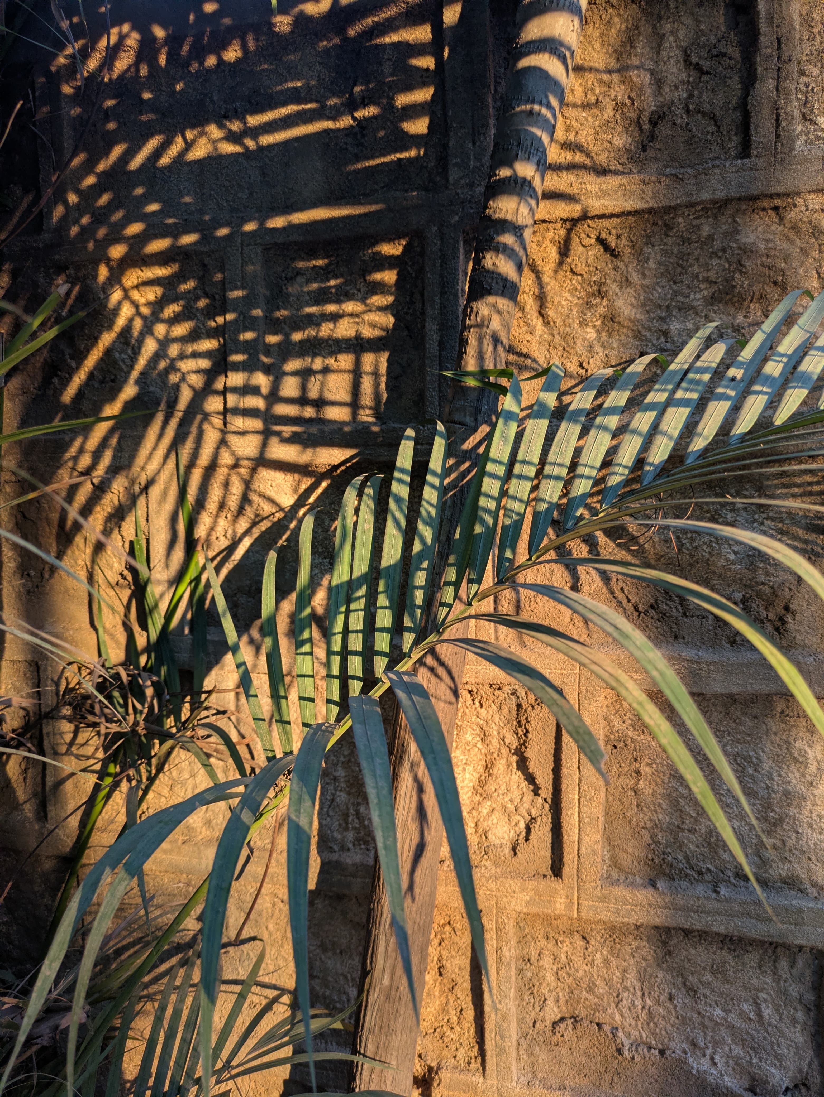 Shadow geometry